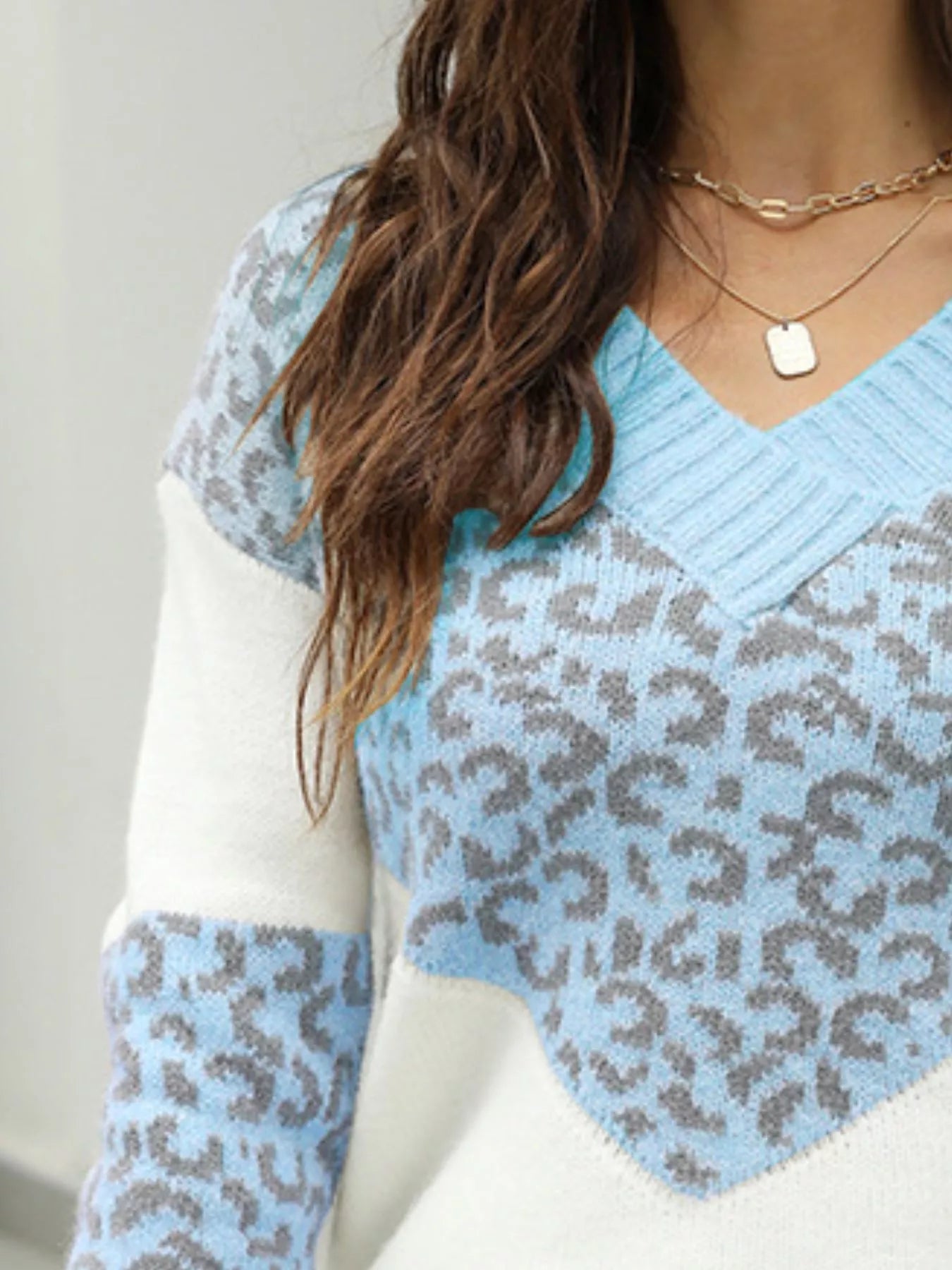 Leopard V-Neck Long Sleeve Sweater