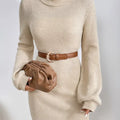 Turtleneck Ribbed Knit Sweater Dress