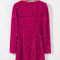 Sequin Surplice Long Sleeve Mini Dress