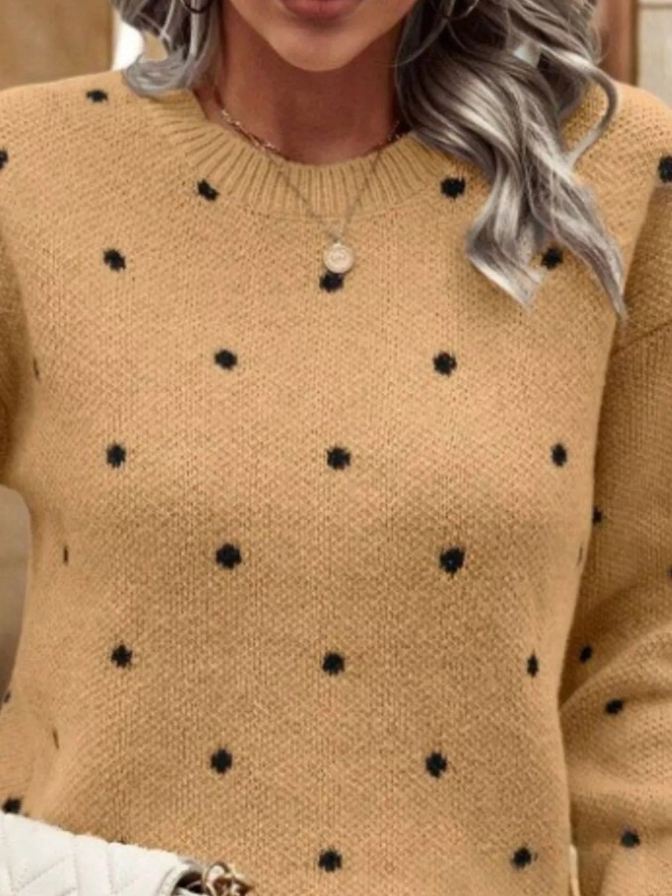 Polka Dot Round Neck Sweater