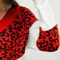Leopard V-Neck Long Sleeve Sweater