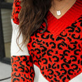 Leopard V-Neck Long Sleeve Sweater